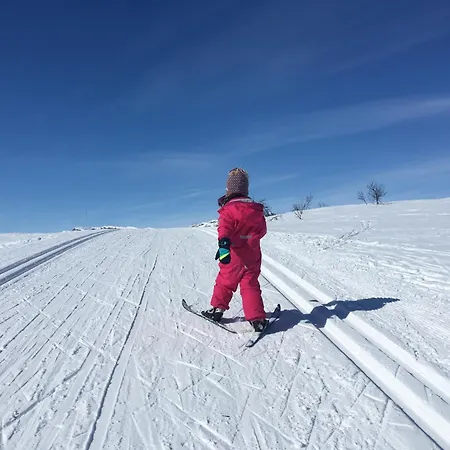 Handicap-friendly With 3 Bedrooms * Beitostolen