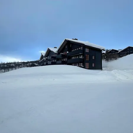 Handicap-friendly With 3 Bedrooms * Beitostolen