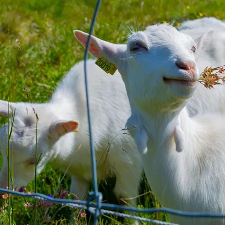 Handicap-friendly With 3 Bedrooms