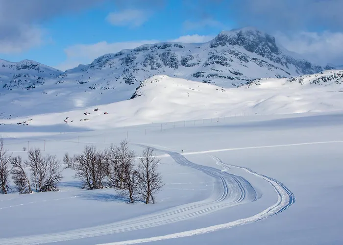 Apartamento Handicap-friendly With 3 Bedrooms