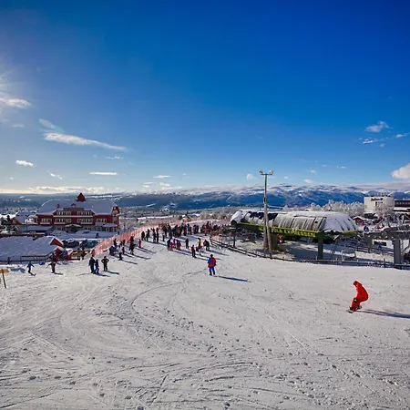 Handicap-friendly With 3 Bedrooms Daire Beitostolen