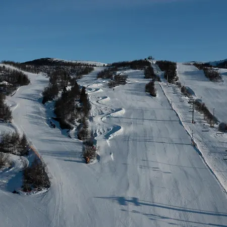 Daire Handicap-friendly With 3 Bedrooms Beitostolen