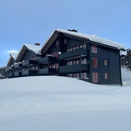 Handicap-friendly With 3 Bedrooms * Beitostolen