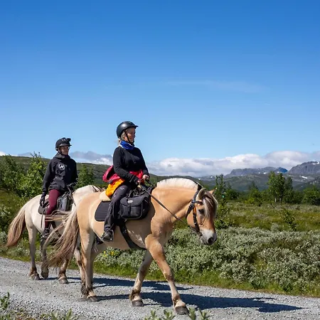 Handicap-friendly With 3 Bedrooms Daire Beitostolen